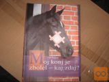 MOJ KONJ JE ZBOLEL KAJ ZDAJ