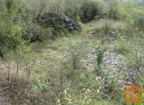Komen Gabrovica pri Komnu 1660 m2 Zazidljiva
