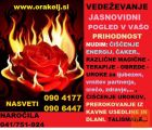 VEDEŽEVANJE-SVETOVANJE-POMOČ V STISKI NAROČILA 041751924
