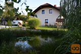 Grosuplje Samostojna 180 m2