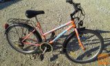 Žensko mestno kolo CALYPSO SNAKE 24"