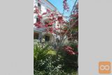Omišalj, novo urejeni apartmaji 70 m od morja