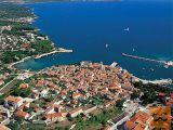 Otok Krk, maslinik, prodaja!! (z189)