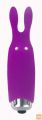 VIBRATOR Lastic Pocket Vibe