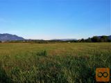Šempeter Vrtojba Vrtojba Zazidljiva 5233,00 m2