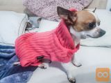 Pulover za majhnega psa (S - small) / jopa obleka pes