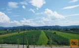 Moste-Polje Polje 4 in večsobno 82,99 m2
