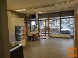 Šiška Celovška cesta 99 živilska trgovina 80 m2