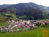 KUPIM GARSONJERO - CERKNO