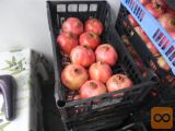 Granatna jabolka - domače iz primorske 