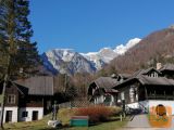 Nudim pomoč v trgovini ob vikendih