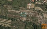 Koper Gažon 540 m2