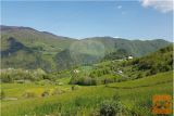Kmetijska In Gozdna Zemljišča V Radečah, Svibno