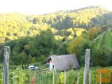 Slovenske Konjice okolica Zidanica 1500 m2