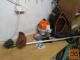 Stihl FR 430 TC
