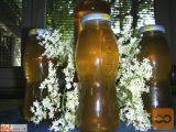 Prodam bezgov sirup