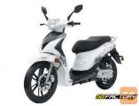 longija TREVIS 50