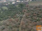 Poličnik Briševo 1823 m2