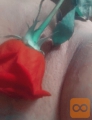 💗Escort diskretno 🍸intimno srecanje zmenoj v🚗 avtu